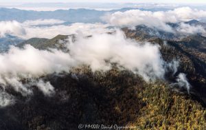 Great Smoky Mountains National Park aerial view 7939
