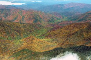 Great Smoky Mountains National Park autumn colors aerial view 7846