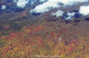 Great Smoky Mountains National Park autumn colors aerial view 7874