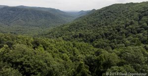 Green River Gorge