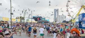 Hangout Music Festival Crowd Photos