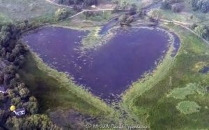 Heart-Shaped Lake Aerial View Heart-shaped lake aerial view - © 2024 David Oppenheimer - Performance Impressions aerial photography archives - https://performanceimpressions.com heart, heart-shaped, heart-shaped lake, lake, art, pond, love, nature, water, heart lake, aerial, aerial view, aerial photography, aerial photographer, David Oppenheimer, color, horizontal, United States, 1-13985601741,