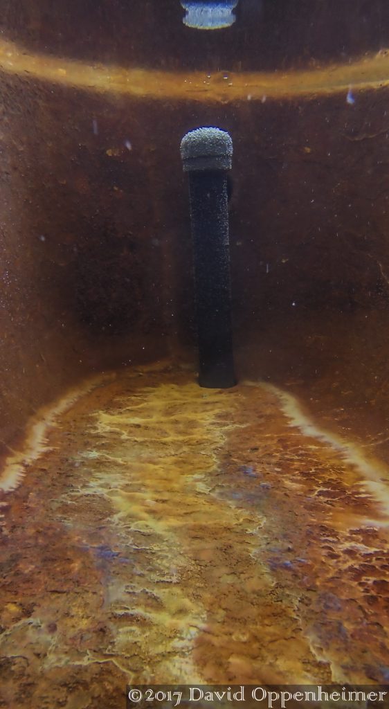 Vichy Springs Carbonated Hot Springs