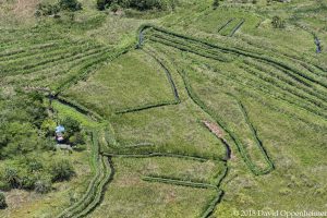 Ganja Farms in Jamaica Aerial Photo