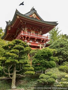 Japanese Tea Garden in Golden Gate Park