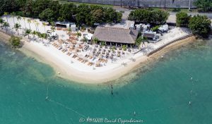Joia Beach Restaurant and Beach Club on Jungle Island Aerial View
