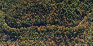 Jonas Ridge North Carolina aerial view autumn colors 8224 scaled