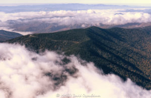 Kuwohi Clingmans Dome Great Smoky Mountains National Park aerial view 7842