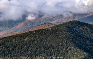 Kuwohi Clingmans Dome Great Smoky Mountains National Park aerial view 7843