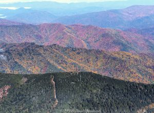 Kuwohi Clingmans Dome Great Smoky Mountains National Park aerial view 7865