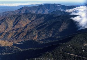 Kuwohi Clingmans Dome Great Smoky Mountains National Park aerial view 7899