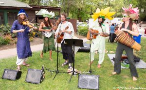 LEAF Festival in Black Mountain