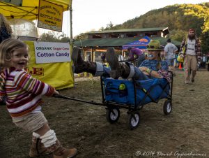 LEAF Festival