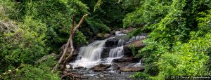 Larchmont Waterfall on Falls Rd.