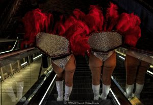 Las Vegas Showgirls