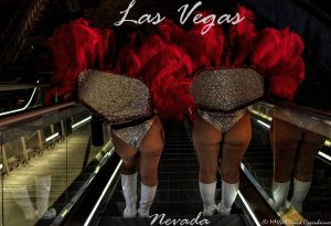 Las Vegas Showgirls