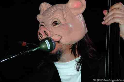 Les Claypool at Langerado Music Festival 2008