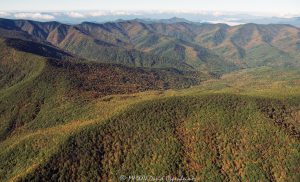 Lickstone Ridge Great Balsam Mountains autumn colors aerial view 7974