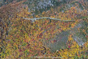 Linn Cove Viaduct on the Blue Ridge Parkway below Grandfather Mountain State Park with Autumn Colors in Western North Carolina Aerial View