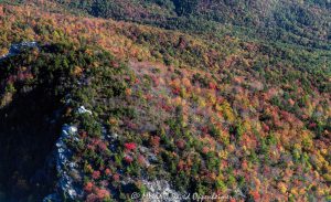 Hawksbill Mountain in Linville Gorge Wilderness with Autumn Colors in Pisgah National Forest Aerial View