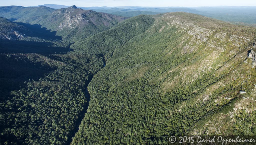 Linville Gorge Wilderness