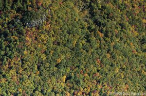 Linville Gorge Wilderness aerial view 8139 scaled