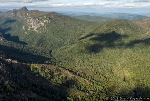 Linville Gorge Wilderness