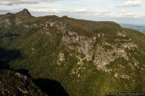 Linville Gorge Wilderness