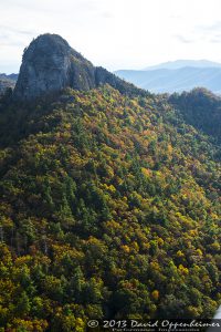 Linville Gorge Wilderness