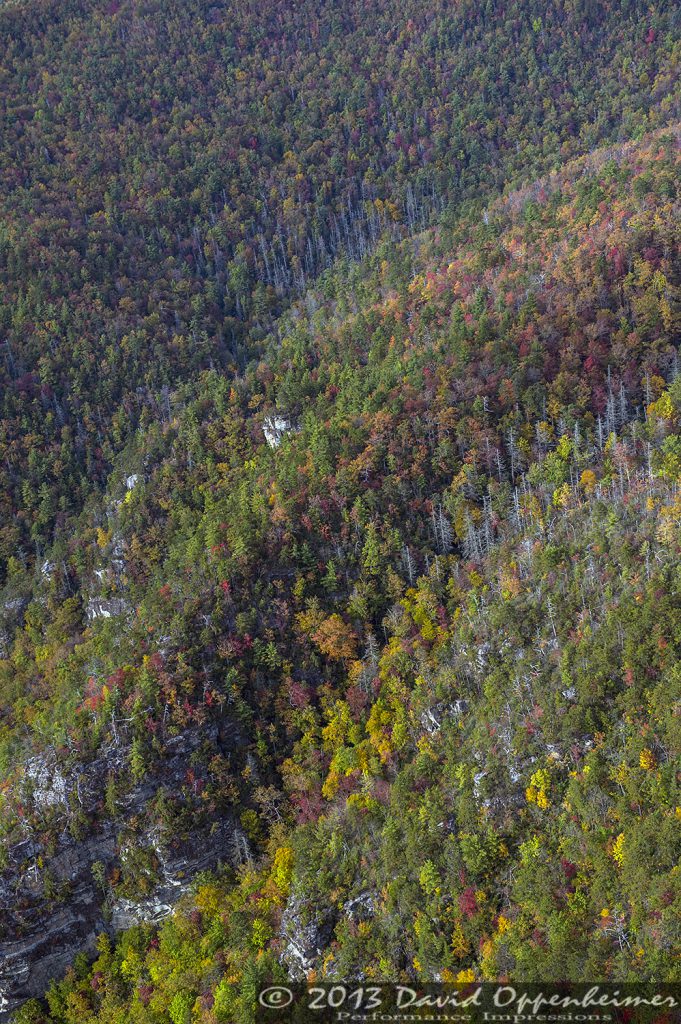 Linville Gorge Wilderness