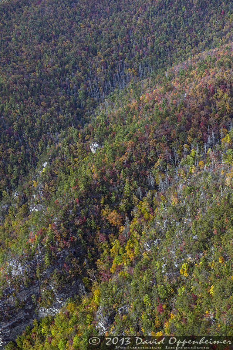Linville Gorge Wilderness