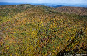 Linville Valley with Autumn Colors