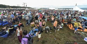 Lockn' Festival Crowd - Interlocking Music Festival