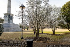 Marion Square in Charleston