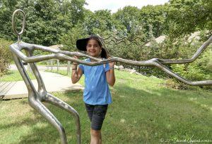 Field Gallery & Sculpture Garden in West Tisbury on Martha's Vineyard