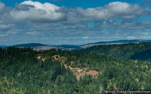 Mendocino County Real Estate