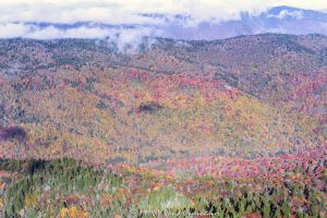Middle Prong Wilderness Shining Rock Wilderness WNC aerial view 7278