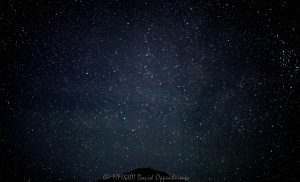 Stars during the Perseid Meteor Shower in the Milky Way over Craggy Pinnacle on the Blue Ridge Parkway