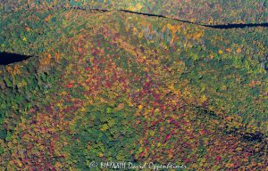 Big Piney Ridge and Brushy Knob of Middle Mountain in Montreat, North Carolina with Autumn Colors Aerial View