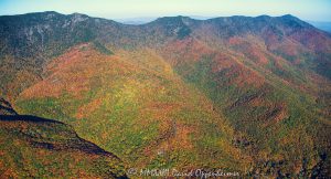 Mount Mitchell State Park Aerial View with Autumn Colors