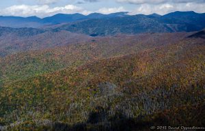 Mount Mitchell State Park in Autumn Colors