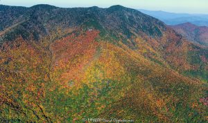 Horse Rock Mountain and Celo Knob Mountain in the Black Mountains of Western North Carolina with Autumn Colors Aerial View