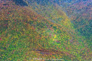 Mount Mitchell State Park Aerial View with Autumn Colors