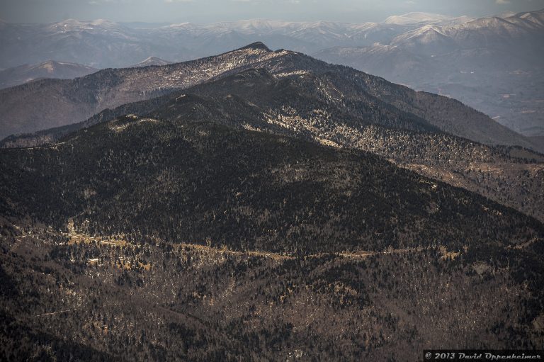 Mount Mitchell State Park