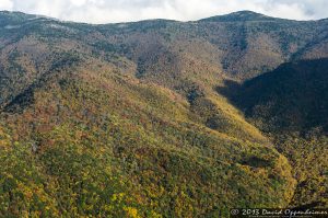 Mount Mitchell State Park in Autumn Colors