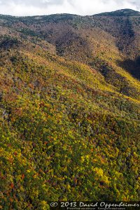 Mount Mitchell State Park in Autumn Colors