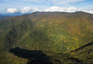 Mount Mitchell State Park in Autumn Colors