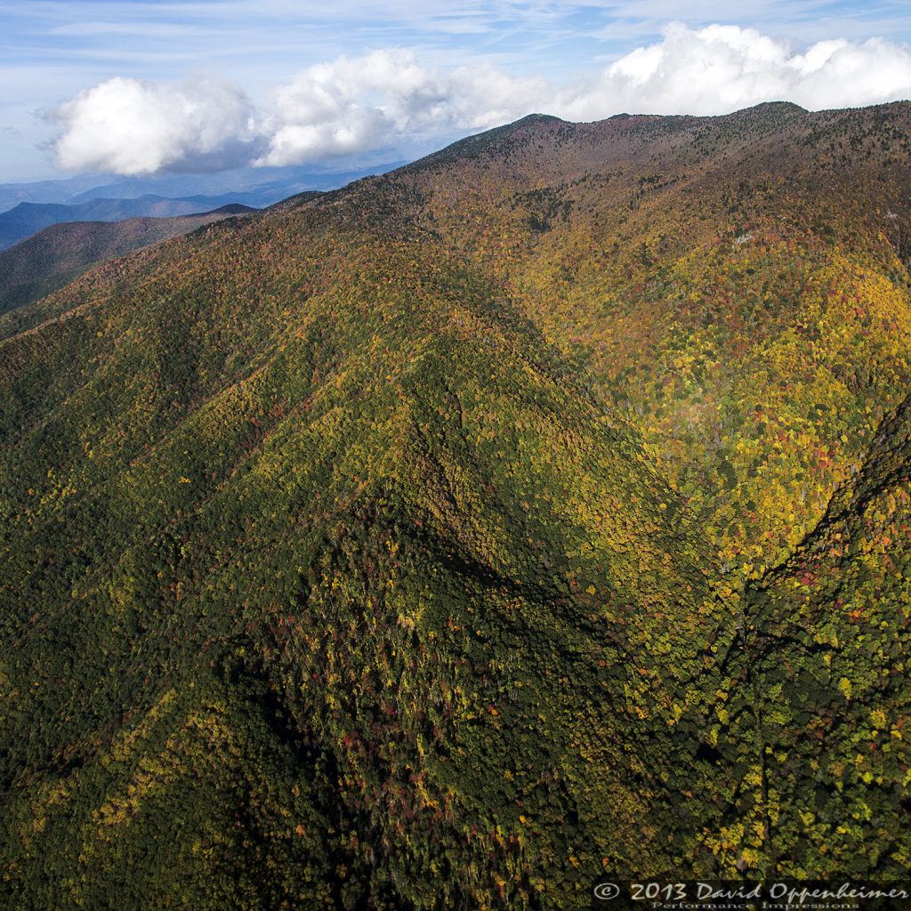 Autumn Colors of Foliage in Mount Mitchell State Park