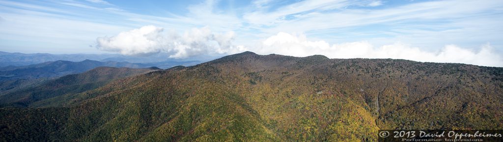 Autumn Colors of Foliage in Mount Mitchell State Park