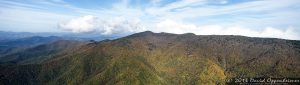 Autumn Colors of Foliage in Mount Mitchell State Park